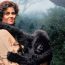 Gorillas In The Mist