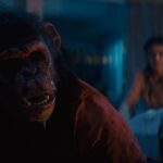 Primate